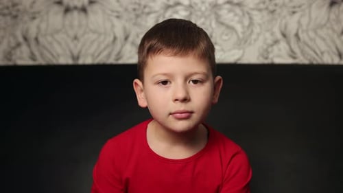 Cute Child Portrait Close Up in Home Setting