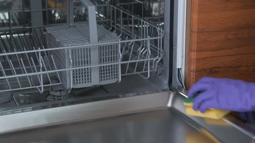 Adult Cleaning Dishwasher with Sponge and Gloves