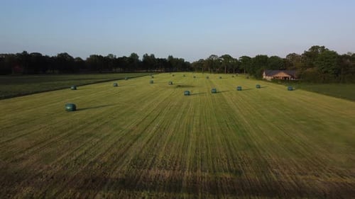 Versiegelte Grasrollen auf Ackerland im Achterhoek-Gebiet in den Niederlanden, Luftaufnahme