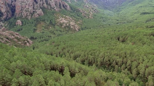 Aerial View of Rocky Mountain Valley and Summer Landscape of Nature