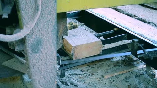 Wood Sawdust Work Sawing Timber Wood Wooden Woodworking