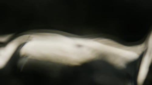 Cinematic Abstract Motion Background (No CGI used) 1144