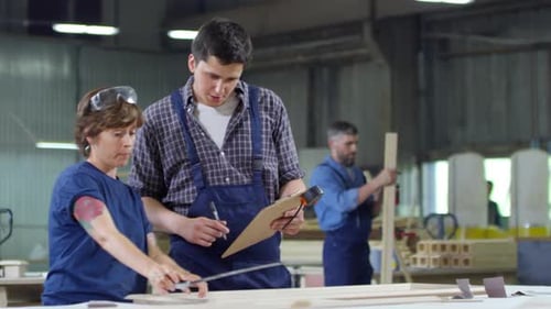 Workers Inspecting Wood in Brightly Lit Workshop