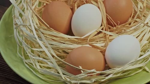 Eggs in a Nest on Green Plate