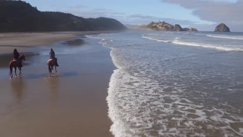Aerial view of women riding horses at beach