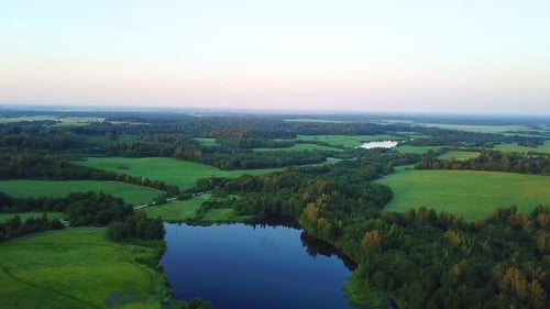 Aerial View of Green Landscape with Forest and Lake