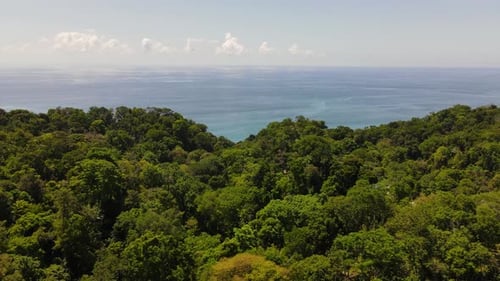 Aerial shot flying over a tropical forest in Osa Peninsula, Costa Rica