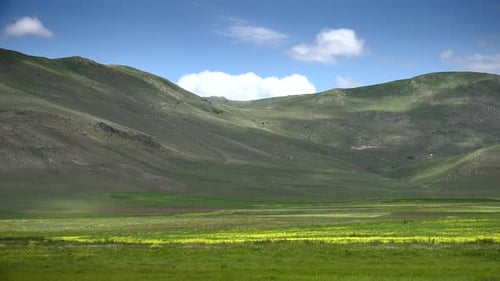 Rolling Green Hills in a Rural Landscape