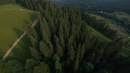 Mountains And Forest Height Clouds