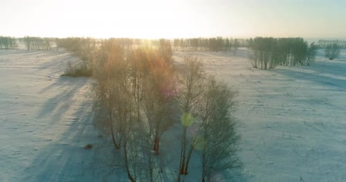 Aerial Drone View of Cold Winter Landscape with Arctic Field Trees Covered with Frost Snow and