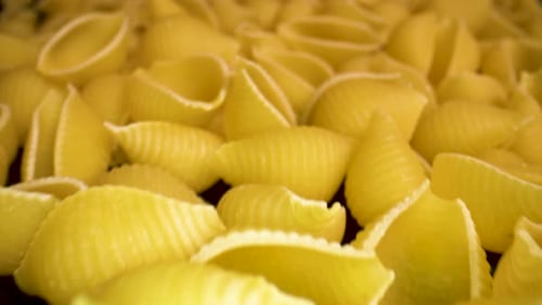 Close Up of Uncooked Shell Shaped Pasta