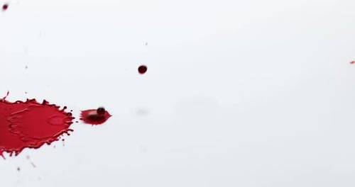 Sangre goteando sobre fondo blanco, cámara lenta 4K