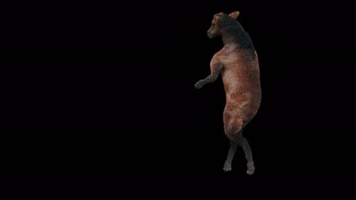Dancing Brown Horse Creature with Alpha Channel