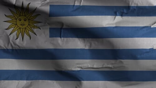 Realistic Uruguay National Flag Waving Fabric Loop