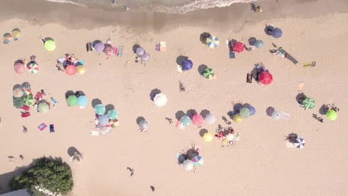 Aerial View of Tourists on the Sand Beach Relaxing By the Sea