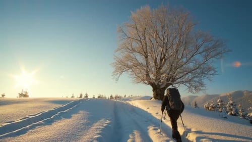 Hiker with Backpack Walking on Snowy Mountain Hillside on Cold Winter Day