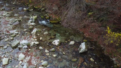 Autumn River Aerial View