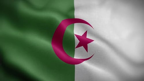 Algeria Flag Textured Waving Front Background HD