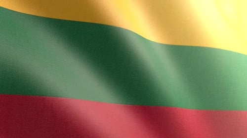 Realistic Waving Lithuanian Flag Loop with Fabric Texture