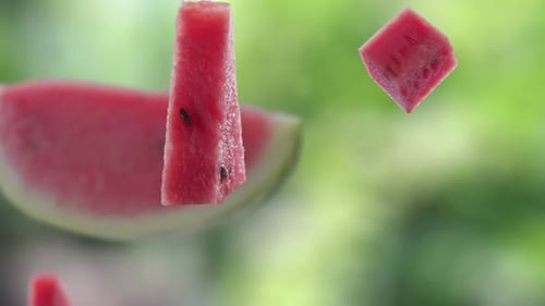 Flying of Watermelon and Slices in Garden Background