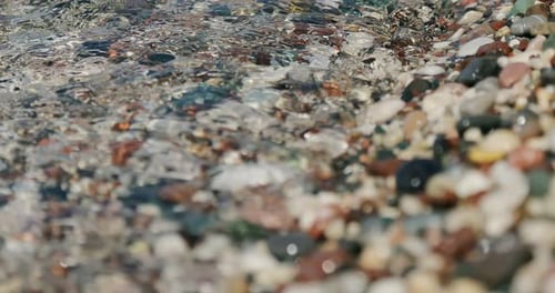 Pierres de mer colorées