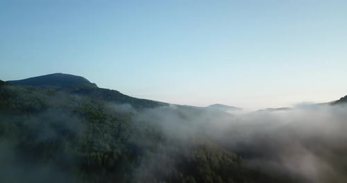 Lush Mountains and Forests Unveiled by Drone