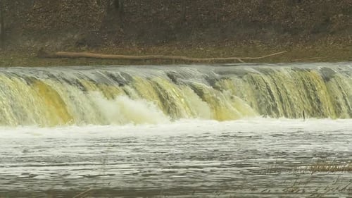 Poisson Vimba (Vimba Vimba) sautant par-dessus la plus grande cascade d'Europe - Cascade de la rivière Venta (Ventas