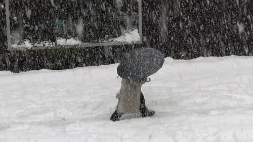 Person Walking in Heavy Snow with Umbrella