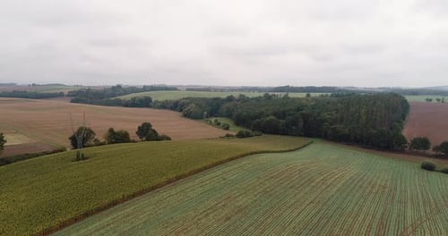 Aerial View of Agricultural Fields and Forest