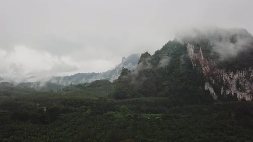 Flying Above the Tropical Valley with Palm Trees Clouds to the Green Mountains on a Rainy Day