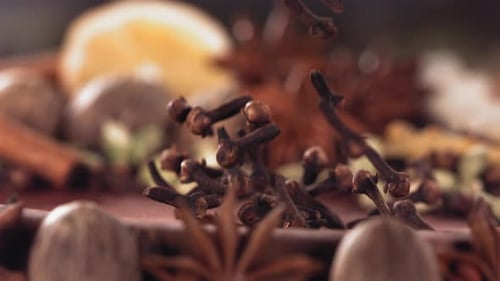 Falling Cloves on Spices for Mulled Wine