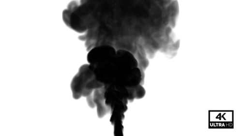 Fluid Black Ink Cloud Alpha Channel Reveal
