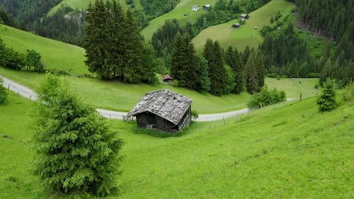 Vue aérienne d'une vieille cabane en bois, d'une prairie verdoyante et de pins, à couper le souffle, été