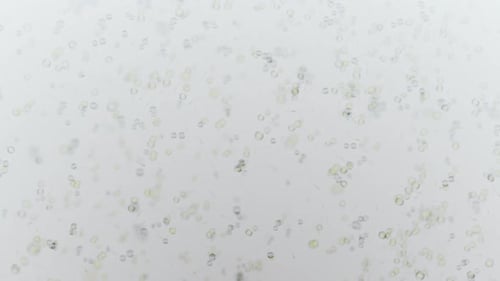 Abstract Microscopic Cells Flowing Motion Background