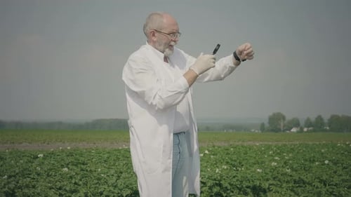 Scientist Inspecting Crops with Magnifying Glass in Field