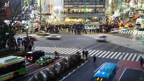Shibuya Crossing Night