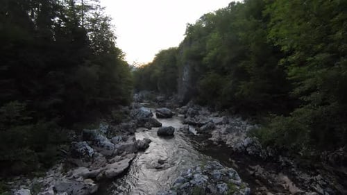 FPV Aerial Shot Dynamic Flying at Natural Landscape River Canyon in the Dense Green Forest and Rapid
