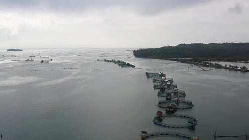 Aerial View of Fish Ponds for Bangus Milkfish