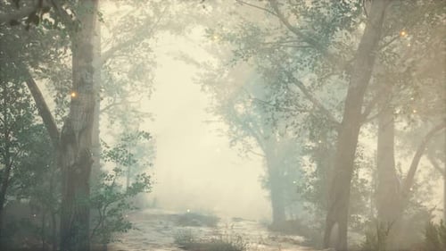 Misty Forest Path with Enchanted Glowing Fireflies