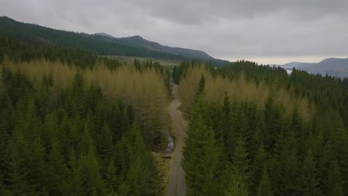 Drone shot flying over road through spruce tree forest in Scandinavia