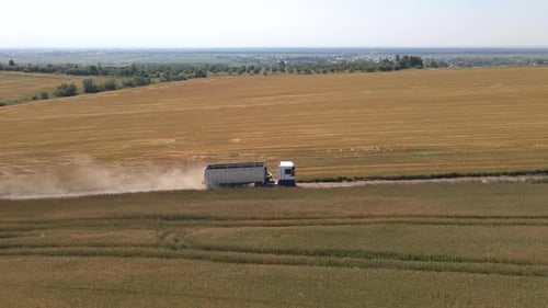 Aerial View of Cargo Truck Driving on Dirt Road Between Agricultural Wheat Fields Making Lot of Dust