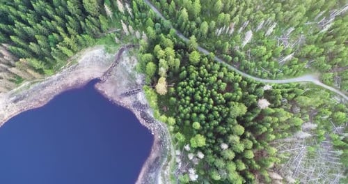 Voe de cima para baixo aéreo sobre o lago da floresta e a estrada vazia