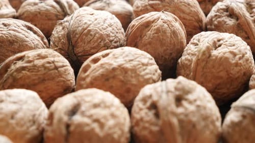 Walnuts arranged natural organic food 4K 2160p 30fps UltraHD footage - Juglans regia Juglandaceae fa