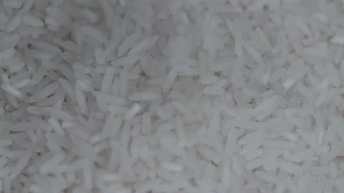 Long White Rice Grains Falling