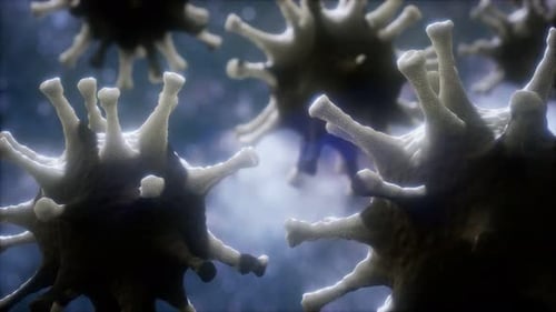 Loop Rotation of Coronavirus COVID-2019