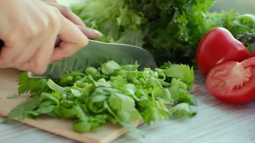 Hands cutting fresh celery on wooden board