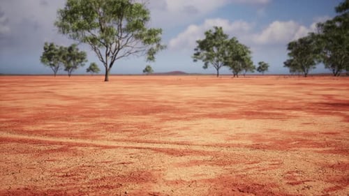 Flying Over a Vast Red Desert Landscape with Green Trees