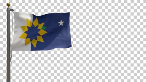 Waving Flag with Stylized Star Design Animation
