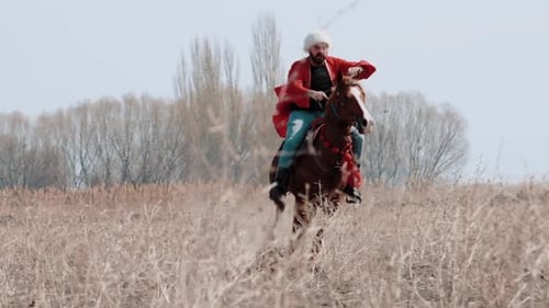 Auf einem Pferd reiten