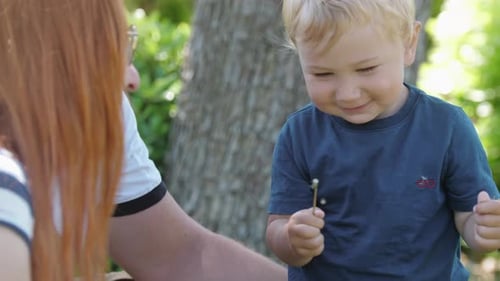 Family Spend Time in the Green Park Little Boy Playing with a Dandelion Stalk